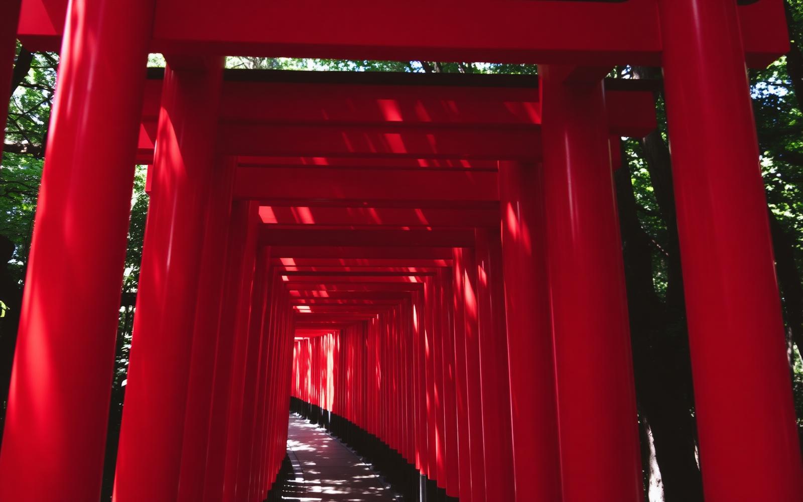 Endless vermilion torii tunnels at Fushimi Inari Shrine, Kyoto
